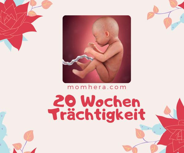 20 Wochen Schwanger
