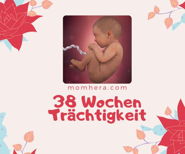 38 Wochen Schwanger