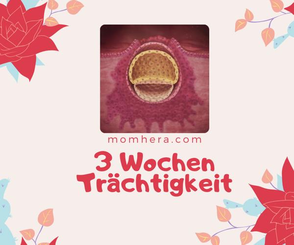 3 Wochen Schwanger