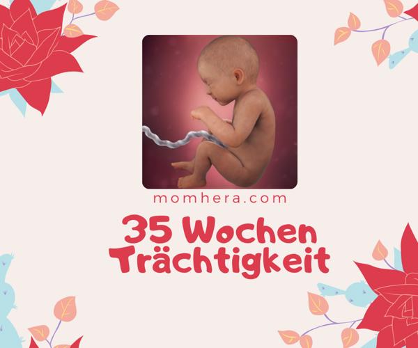 35 Wochen Schwanger