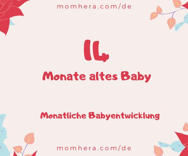 14 Monate altes Baby