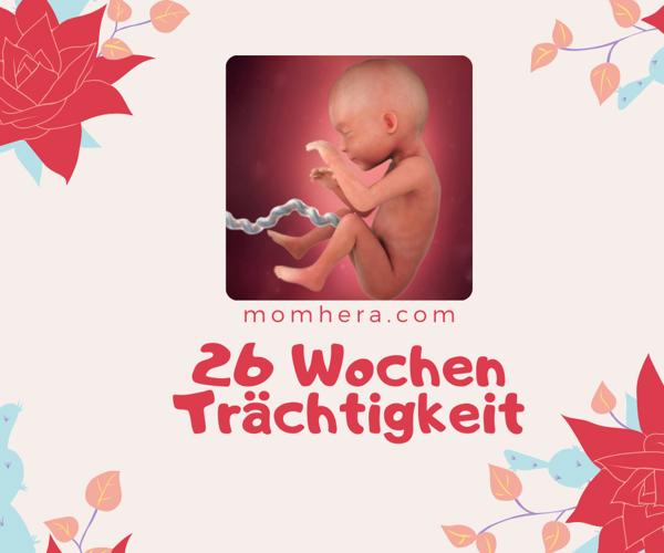 26 Wochen Schwanger