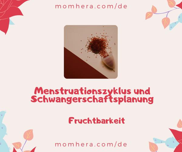 Menstruationszyklus und Schwangerschaftsplanung: Warum ist das Timing so wichtig?