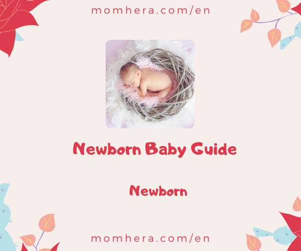 Newborn Baby Guide: A Helping Hand for New Mothers