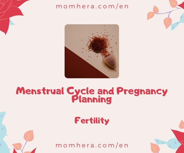 Menstrual Cycle and Pregnancy Planning: Why Timing Matters