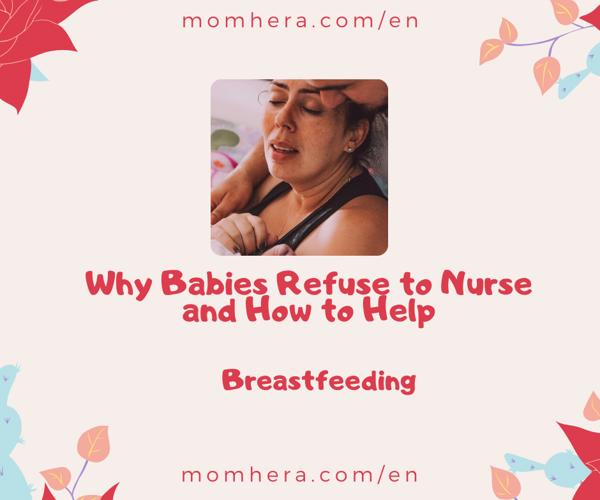 Why Babies Refuse to Nurse and How to Help