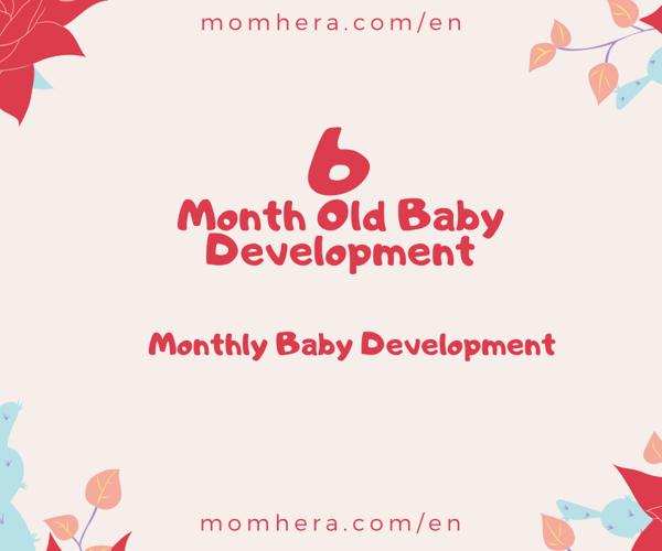 6-Month Baby Development