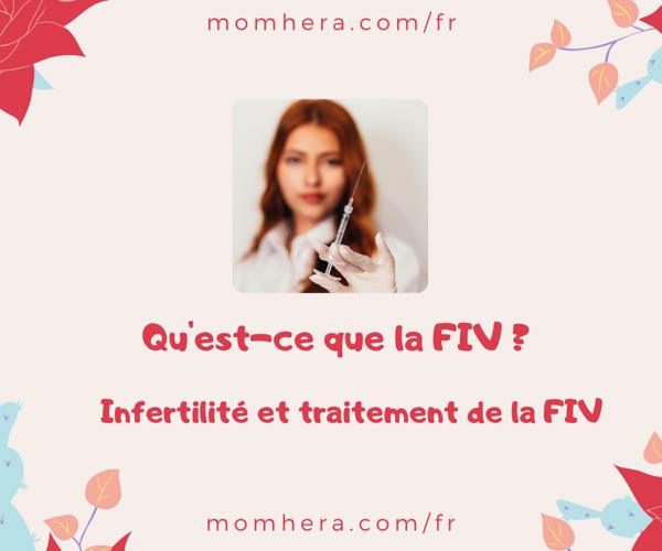 Qu'est-ce que la FIV ?