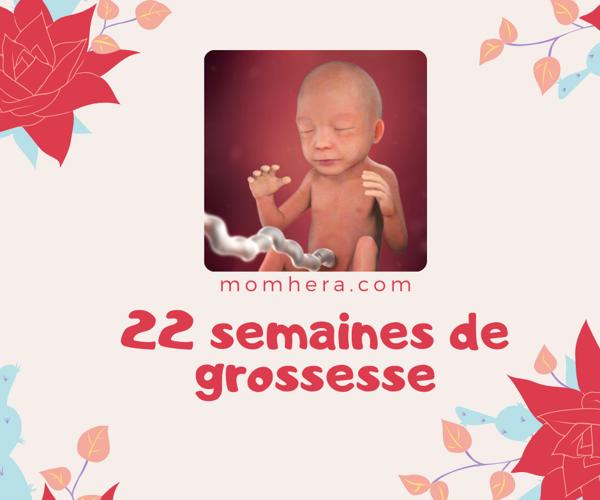 22 Semaines de Grossesse