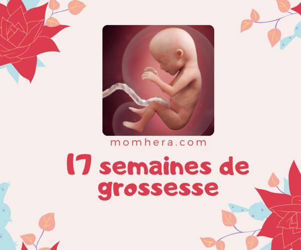 17ème Semaine de Grossesse