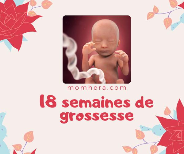 18e Semaine de Grossesse