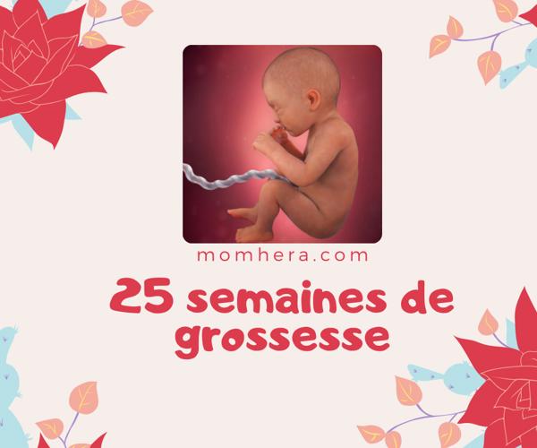 25e Semaine de Grossesse