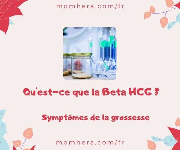 Qu'est-ce que la Beta-HCG ? Le premier pas pour comprendre les symptômes de la grossesse