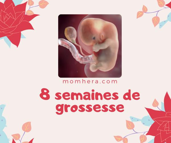 8 Semaines de Grossesse