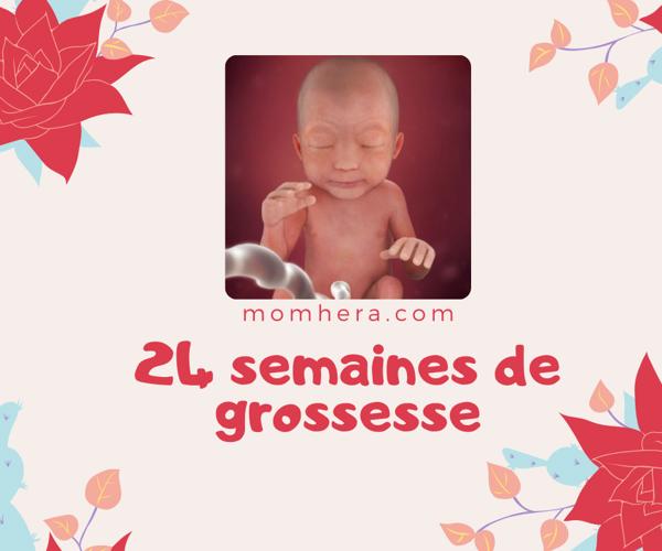 24e Semaine de Grossesse