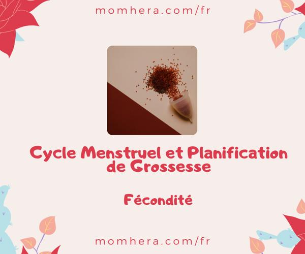 Cycle Menstruel et Planification de Grossesse : Pourquoi le Timing Est-il Essentiel ?