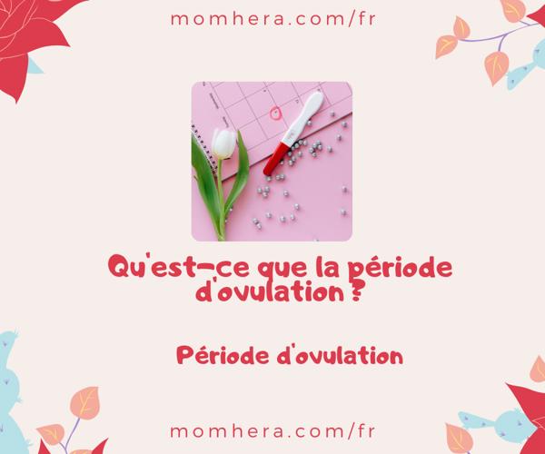 Qu'est-ce que la période d'ovulation et pourquoi est-elle importante pour tomber enceinte ?