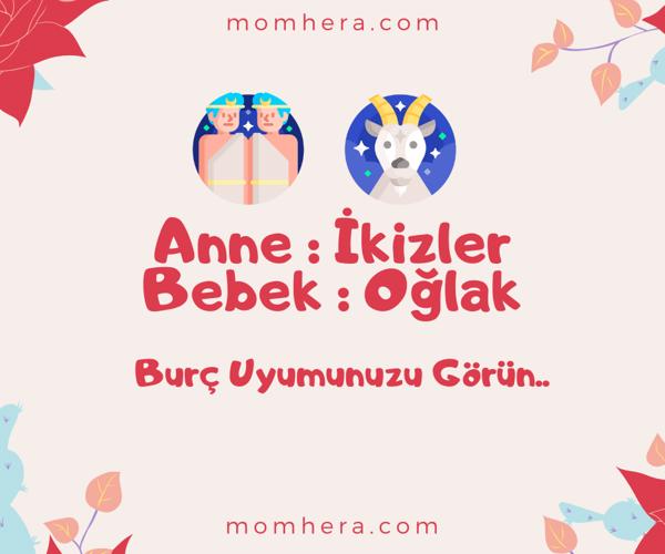 İkizler Burcu Anne ve Oğlak Burcu Bebek Uyumu