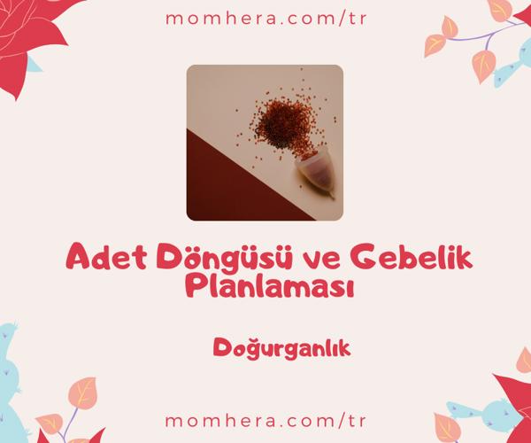 Adet Döngüsü ve Gebelik Planlaması: Doğru Zamanlama Neden Önemlidir?