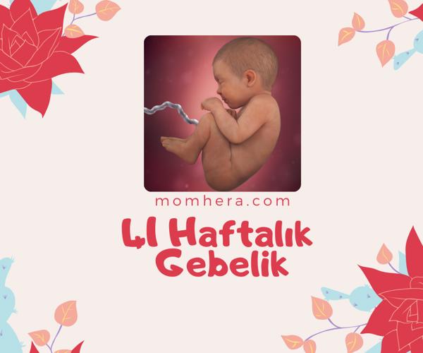 41 Haftalık Gebelik