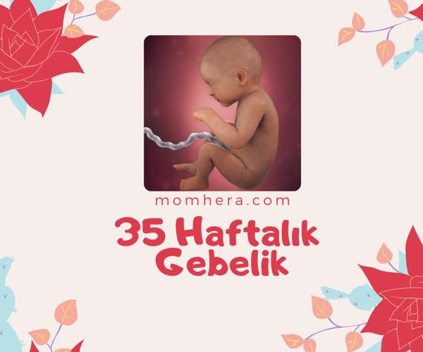 35 Haftalık Gebelik