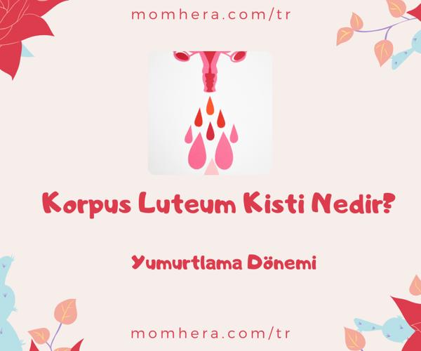 Korpus Luteum Kisti Nedir?