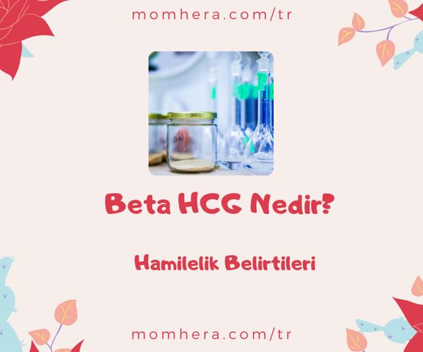 Beta HCG Nedir? Hamilelik Belirtilerini Anlamanın İlk Adımı