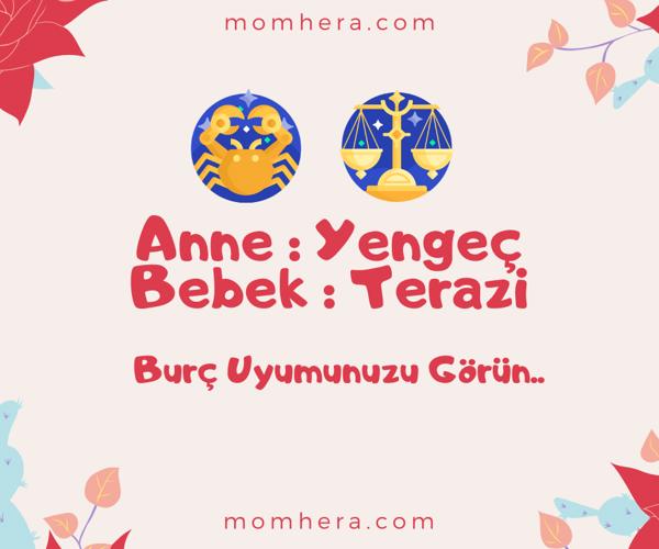 Yengeç Burcu Anne ve Terazi Burcu Bebek Uyumu