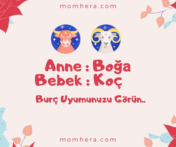 Boğa Annesi ve Koç Bebeği Burç Uyumu