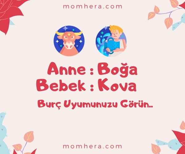 Boğa Burcu Anne ve Kova Burcu Bebek Uyumu