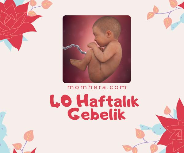 40 Haftalık Gebelik